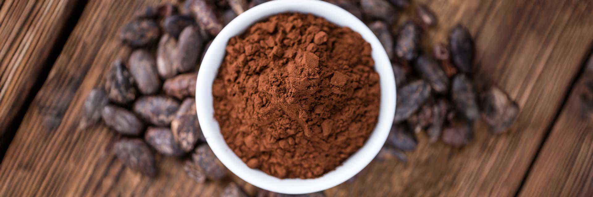 what is alkalized cocoa powder