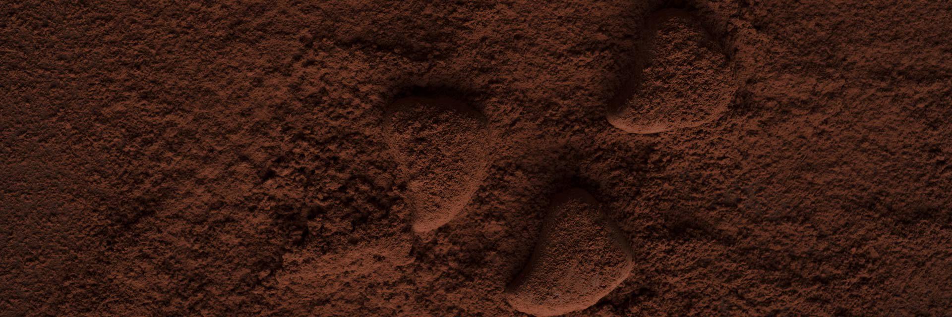 alkalized cocoa powder