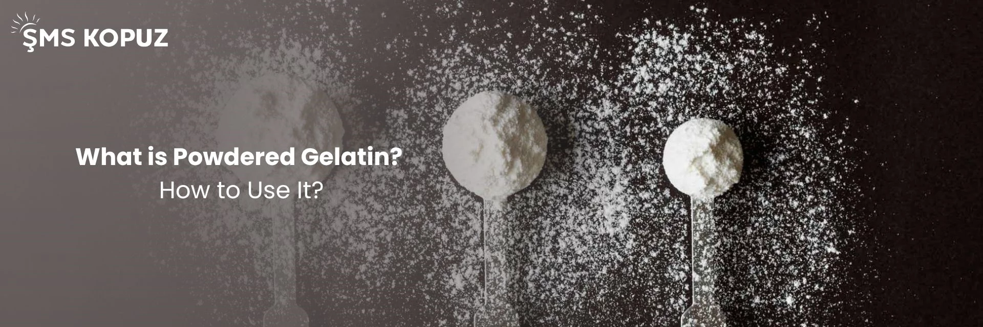 What Is Powdered Gelatin? How to Use It?