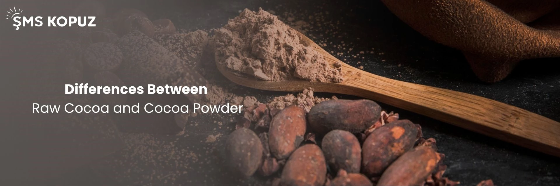 Differences Between Raw Cacao and Cocoa Powder