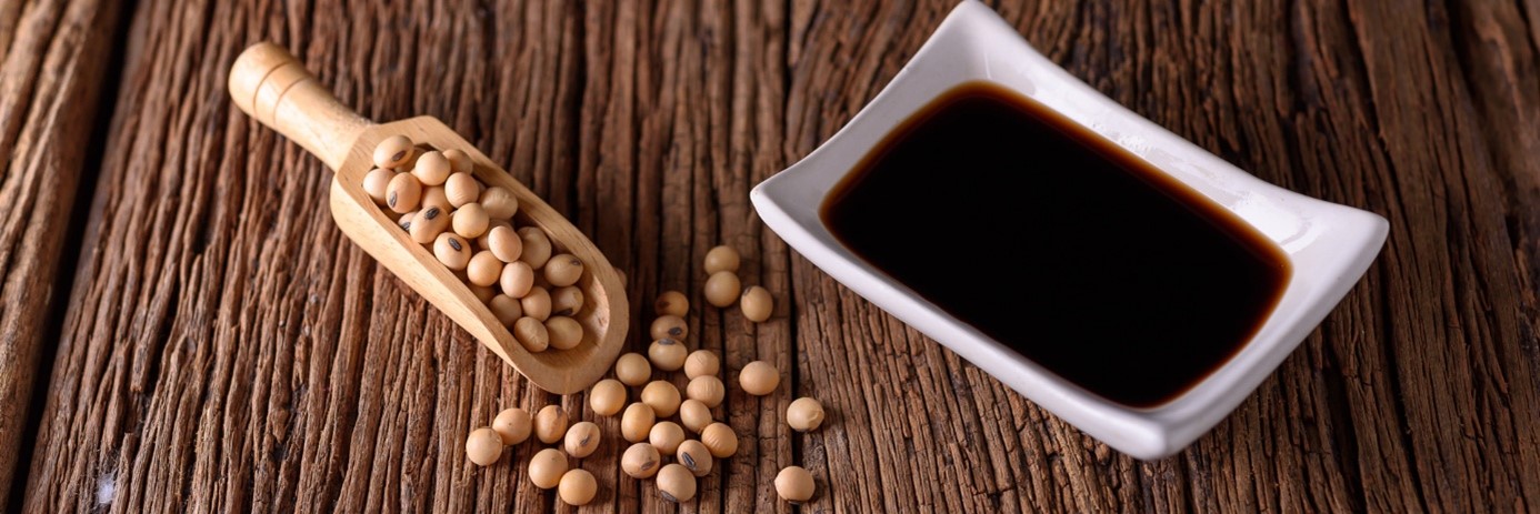 Soy Lecithin 1