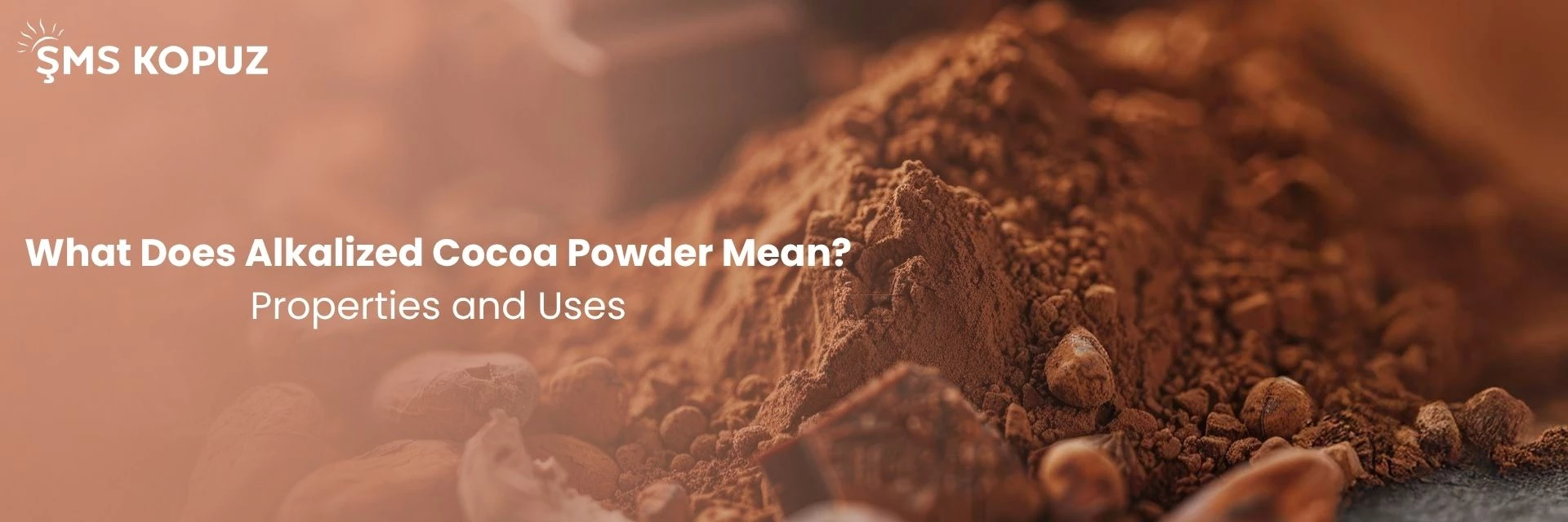 What Is Alkalized Cocoa Powder Mean? Properties and Uses