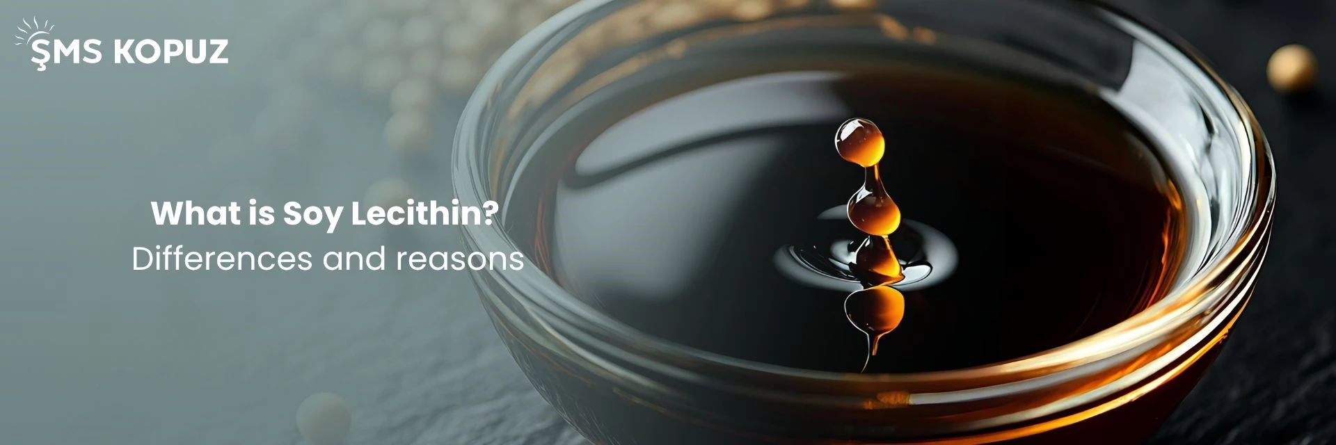 What Is Soy Lecithin? Differences and Reasons