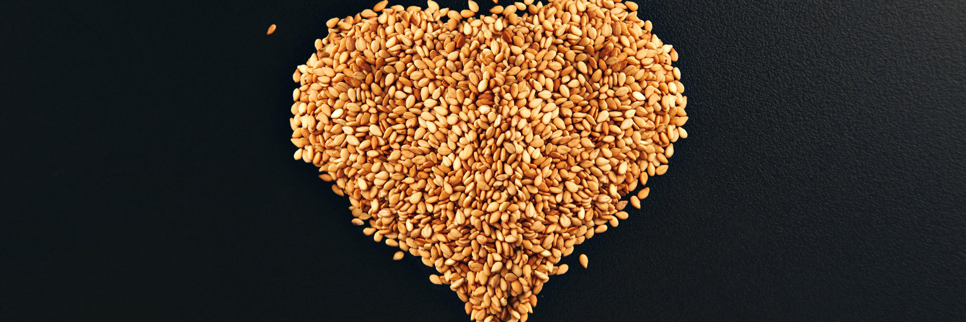 What is Sunflower Lecithin