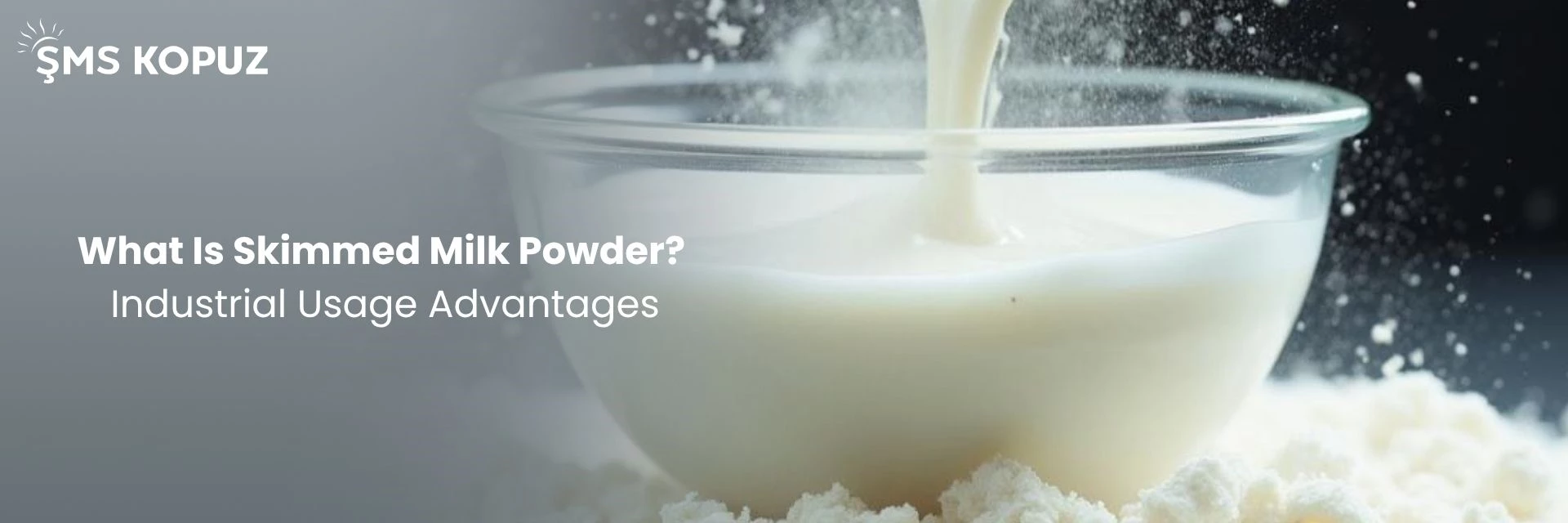 What Is Skimmed Milk Powder? Industrial Usage Advantages